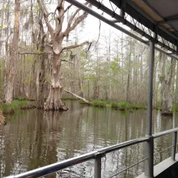 Pearl River Wildlife Management Area - Poplarville