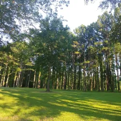 Poplarville City Park - Poplarville