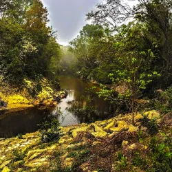 Poplarville City Park - Poplarville