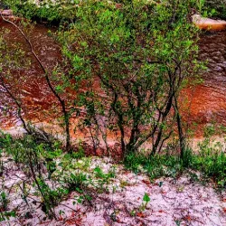 Poplarville Historic District - Poplarville