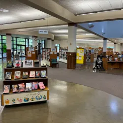 Southaven Library - Southaven