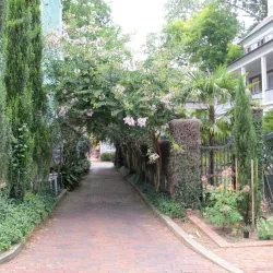 Cotton District - Starkville