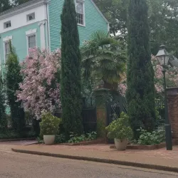 Cotton District - Starkville