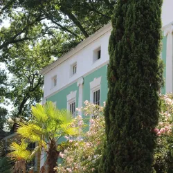 Cotton District - Starkville