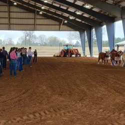 Hail State Arena - Starkville
