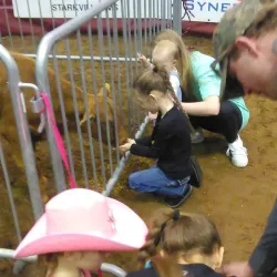 Hail State Arena - Starkville