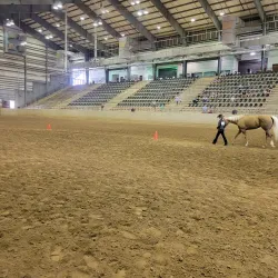Hail State Arena - Starkville