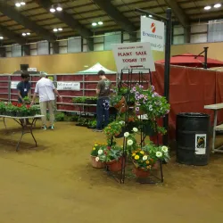 Hail State Arena - Starkville