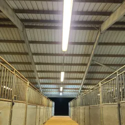 Hail State Arena - Starkville