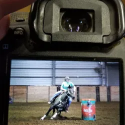 Hail State Arena - Starkville