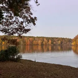 Lake Lowndes State Park - Starkville