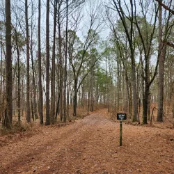 Lake Lowndes State Park - Starkville