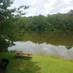 Lake Lowndes State Park - Starkville