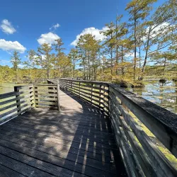 Noxubee National Wildlife Refuge - Starkville