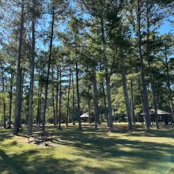 Noxubee National Wildlife Refuge - Starkville