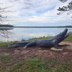 Noxubee National Wildlife Refuge - Starkville