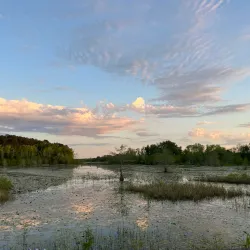 Noxubee National Wildlife Refuge - Starkville