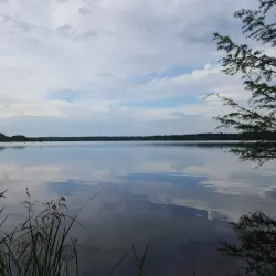 Noxubee National Wildlife Refuge - Starkville
