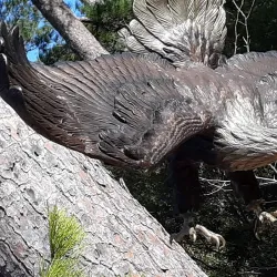 Noxubee National Wildlife Refuge - Starkville