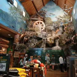 Branson Landing - Branson