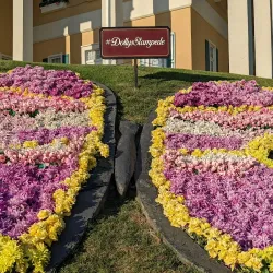 Dolly Parton's Stampede - Branson