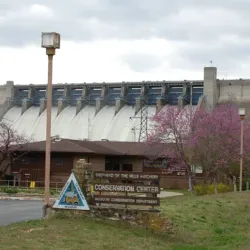 Shepherd of the Hills Fish Hatchery - Branson