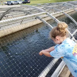 Shepherd of the Hills Fish Hatchery - Branson