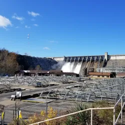 Shepherd of the Hills Fish Hatchery - Branson