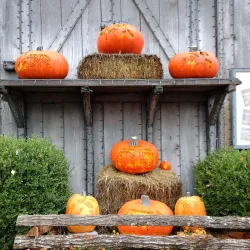 Silver Dollar City - Branson