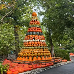 Silver Dollar City - Branson