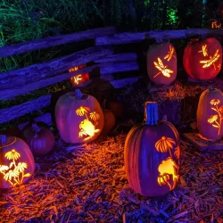 Silver Dollar City - Branson