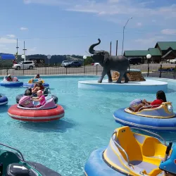 The Track Family Fun Parks - Branson