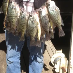 Lake West Marina - Camdenton