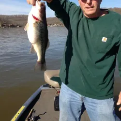 Lake West Marina - Camdenton