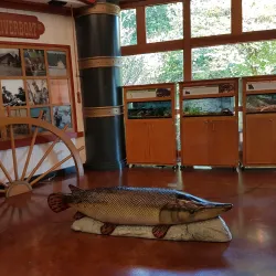 Cape Girardeau Conservation Nature Center - Cape Girardeau