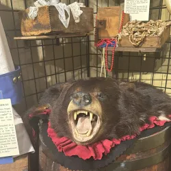 Cape River Heritage Museum - Cape Girardeau