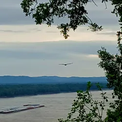 Trail of Tears State Park - Cape Girardeau