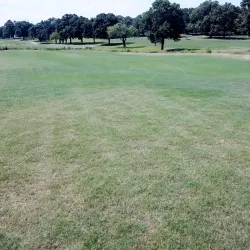 Carthage City Park - Carthage