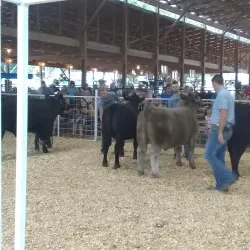 Carthage City Park - Carthage