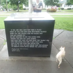 Carthage Public Library - Carthage