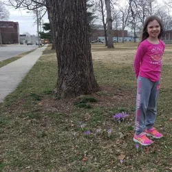 Carthage Public Library - Carthage