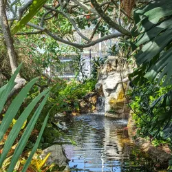 Butterfly House (Missouri Botanical Garden) - Chesterfield