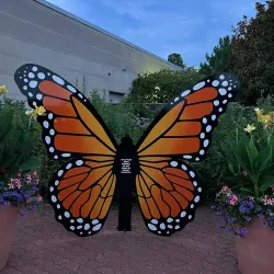 Butterfly House (Missouri Botanical Garden) - Chesterfield