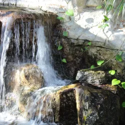 Butterfly House (Missouri Botanical Garden) - Chesterfield
