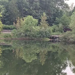 Central Park - Chesterfield