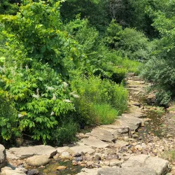 Central Park - Chesterfield