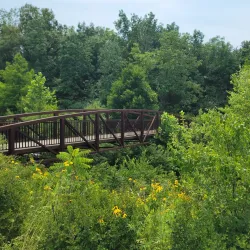 Central Park - Chesterfield