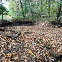 Quail Ridge Park - Chesterfield