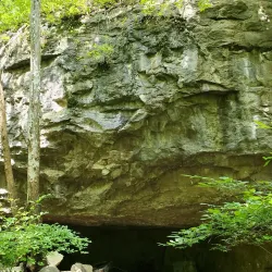 Rockwoods Reservation - Chesterfield