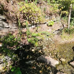 Rockwoods Reservation - Chesterfield